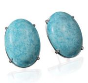 221434бирюза Серьги (Серебро)